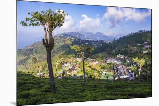 Haputale and a Tea Estate, Sri Lanka Hill Country, Nuwara Eliya District, Sri Lanka, Asia-Matthew Williams-Ellis-Mounted Photographic Print