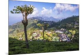 Haputale and a Tea Estate, Sri Lanka Hill Country, Nuwara Eliya District, Sri Lanka, Asia-Matthew Williams-Ellis-Mounted Photographic Print