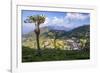 Haputale and a Tea Estate, Sri Lanka Hill Country, Nuwara Eliya District, Sri Lanka, Asia-Matthew Williams-Ellis-Framed Photographic Print