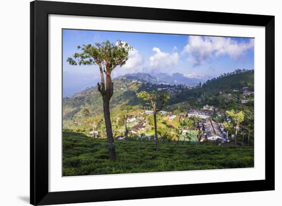 Haputale and a Tea Estate, Sri Lanka Hill Country, Nuwara Eliya District, Sri Lanka, Asia-Matthew Williams-Ellis-Framed Photographic Print