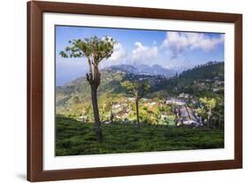 Haputale and a Tea Estate, Sri Lanka Hill Country, Nuwara Eliya District, Sri Lanka, Asia-Matthew Williams-Ellis-Framed Photographic Print