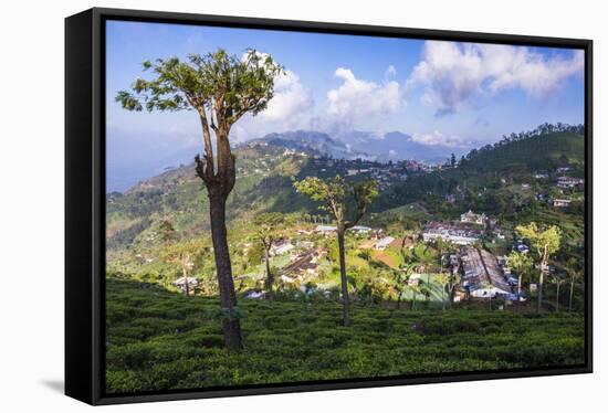 Haputale and a Tea Estate, Sri Lanka Hill Country, Nuwara Eliya District, Sri Lanka, Asia-Matthew Williams-Ellis-Framed Stretched Canvas