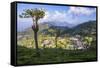 Haputale and a Tea Estate, Sri Lanka Hill Country, Nuwara Eliya District, Sri Lanka, Asia-Matthew Williams-Ellis-Framed Stretched Canvas