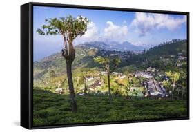 Haputale and a Tea Estate, Sri Lanka Hill Country, Nuwara Eliya District, Sri Lanka, Asia-Matthew Williams-Ellis-Framed Stretched Canvas