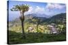 Haputale and a Tea Estate, Sri Lanka Hill Country, Nuwara Eliya District, Sri Lanka, Asia-Matthew Williams-Ellis-Stretched Canvas