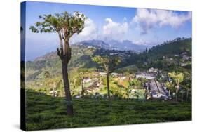 Haputale and a Tea Estate, Sri Lanka Hill Country, Nuwara Eliya District, Sri Lanka, Asia-Matthew Williams-Ellis-Stretched Canvas