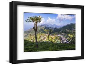 Haputale and a Tea Estate, Sri Lanka Hill Country, Nuwara Eliya District, Sri Lanka, Asia-Matthew Williams-Ellis-Framed Photographic Print