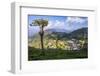 Haputale and a Tea Estate, Sri Lanka Hill Country, Nuwara Eliya District, Sri Lanka, Asia-Matthew Williams-Ellis-Framed Photographic Print