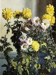 Chrysanthemums-Harald Martin Hansen Holm-Stretched Canvas