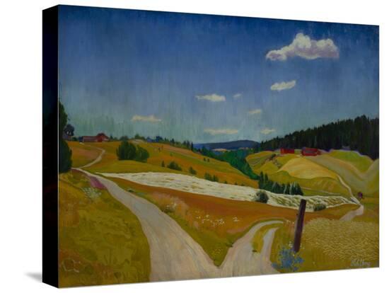 Stretched Canvas Print, , large