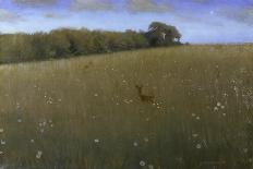 Deer at Dusk in a Meadow with Flowers-Harald Slott-Möller-Framed Giclee Print