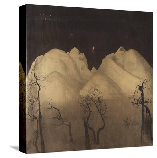 Stretched Canvas Print, , large
