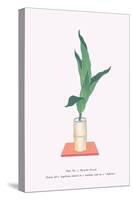 Haran (Five Aspidistra Leaves) In Bamboo Vase-Josiah Conder-Stretched Canvas