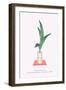 Haran (Five Aspidistra Leaves) In Bamboo Vase-Josiah Conder-Framed Art Print