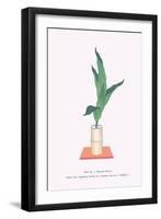 Haran (Five Aspidistra Leaves) In Bamboo Vase-Josiah Conder-Framed Art Print