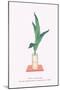 Haran (Five Aspidistra Leaves) In Bamboo Vase-Josiah Conder-Mounted Art Print