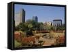 Harare Public Gardens, and City Skyline, Harare, Zimbabwe, Africa-Poole David-Framed Stretched Canvas