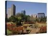 Harare Public Gardens, and City Skyline, Harare, Zimbabwe, Africa-Poole David-Stretched Canvas