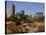 Harare Public Gardens, and City Skyline, Harare, Zimbabwe, Africa-Poole David-Stretched Canvas