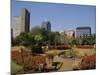 Harare Public Gardens, and City Skyline, Harare, Zimbabwe, Africa-Poole David-Mounted Photographic Print