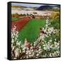 "Harbinger of Spring", May 7, 1955-John Clymer-Framed Stretched Canvas