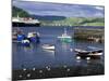 Harbor and Caledonian-Macbrayne Ferry, Oban, Scotland-Bill Sutton-Mounted Photographic Print