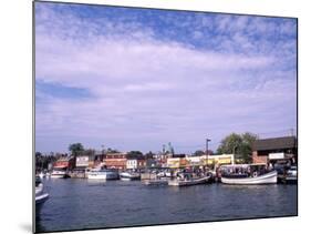 Harbor and Ships, Annapolis, Maryland, USA-Bill Bachmann-Mounted Photographic Print