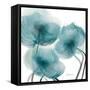 Harbor Blue Beauty 1-Albert Koetsier-Framed Stretched Canvas