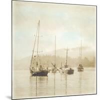 Harbor I-Amy Melious-Mounted Art Print