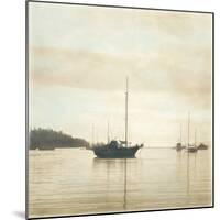 Harbor II-Amy Melious-Mounted Art Print