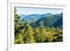 Harbor Mountain, Baranof Island, Alexander Archipelago, Southeast Alaska, USA-Mark A Johnson-Framed Photographic Print