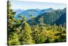 Harbor Mountain, Baranof Island, Alexander Archipelago, Southeast Alaska, USA-Mark A Johnson-Stretched Canvas