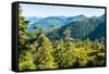 Harbor Mountain, Baranof Island, Alexander Archipelago, Southeast Alaska, USA-Mark A Johnson-Framed Stretched Canvas