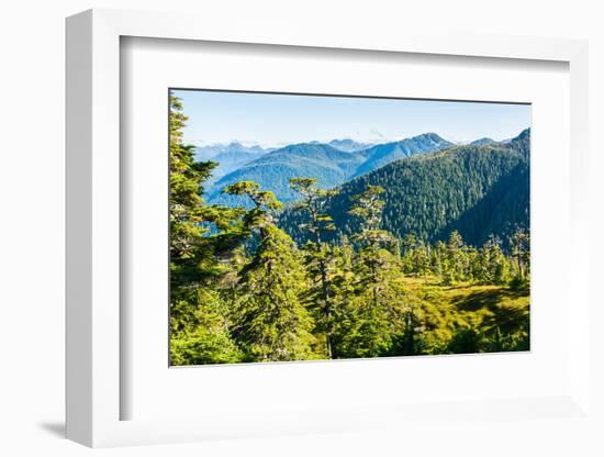 Harbor Mountain, Baranof Island, Alexander Archipelago, Southeast Alaska, USA-Mark A Johnson-Framed Photographic Print