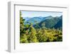 Harbor Mountain, Baranof Island, Alexander Archipelago, Southeast Alaska, USA-Mark A Johnson-Framed Photographic Print