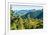 Harbor Mountain, Baranof Island, Alexander Archipelago, Southeast Alaska, USA-Mark A Johnson-Framed Photographic Print