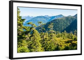 Harbor Mountain, Baranof Island, Alexander Archipelago, Southeast Alaska, USA-Mark A Johnson-Framed Photographic Print