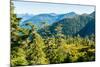 Harbor Mountain, Baranof Island, Alexander Archipelago, Southeast Alaska, USA-Mark A Johnson-Mounted Photographic Print