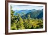 Harbor Mountain, Baranof Island, Alexander Archipelago, Southeast Alaska, USA-Mark A Johnson-Framed Photographic Print