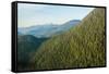 Harbor Mountain, Baranof Island, Alexander Archipelago, Southeast Alaska, USA-Mark A Johnson-Framed Stretched Canvas