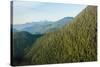 Harbor Mountain, Baranof Island, Alexander Archipelago, Southeast Alaska, USA-Mark A Johnson-Stretched Canvas