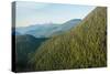 Harbor Mountain, Baranof Island, Alexander Archipelago, Southeast Alaska, USA-Mark A Johnson-Stretched Canvas