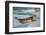 Harbor Seal and Iceberg, Alaska-Paul Souders-Framed Photographic Print