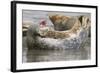 Harbor Seal Hauled Out-Hal Beral-Framed Photographic Print