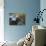 Harbor Seal on Bandon Beach, Oregon, USA-Joe Restuccia III-Photographic Print displayed on a wall