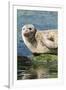 Harbor Seal on the Coast of the Shetland Islands. Scotland-Martin Zwick-Framed Photographic Print