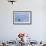 Harbor Seal on the Coast of the Shetland Islands. Scotland-Martin Zwick-Framed Photographic Print displayed on a wall