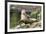 Harbor Seal on the Coast of the Shetland Islands. Scotland-Martin Zwick-Framed Photographic Print