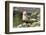 Harbor Seal on the Coast of the Shetland Islands. Scotland-Martin Zwick-Framed Photographic Print