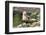 Harbor Seal on the Coast of the Shetland Islands. Scotland-Martin Zwick-Framed Photographic Print